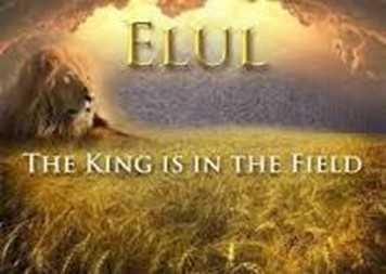 Click to view more about Blogs